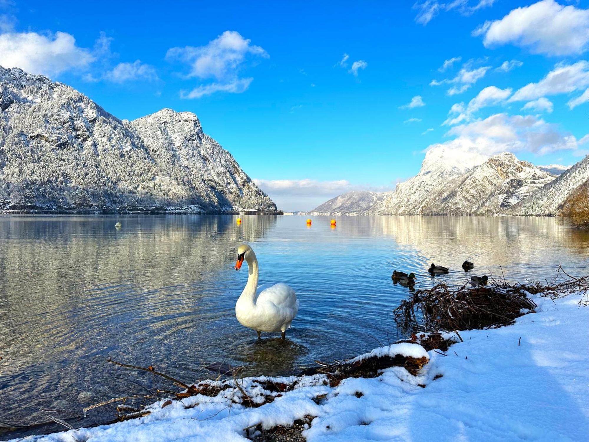 Appartement Bergmann Ebensee Eksteriør billede