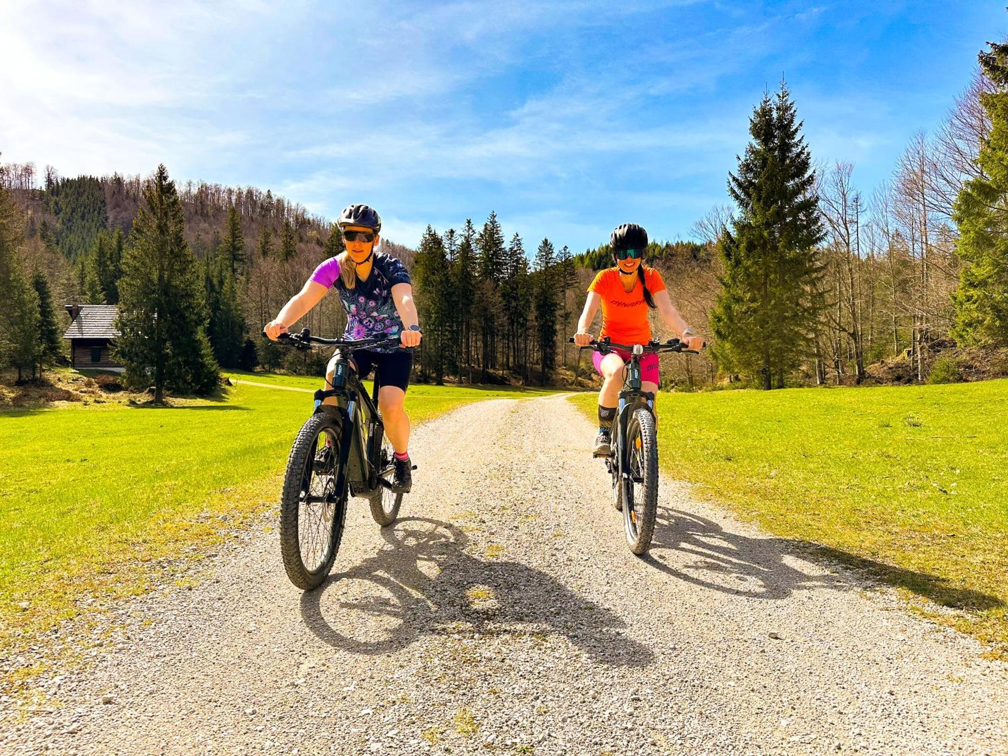 Appartement Bergmann Ebensee Eksteriør billede